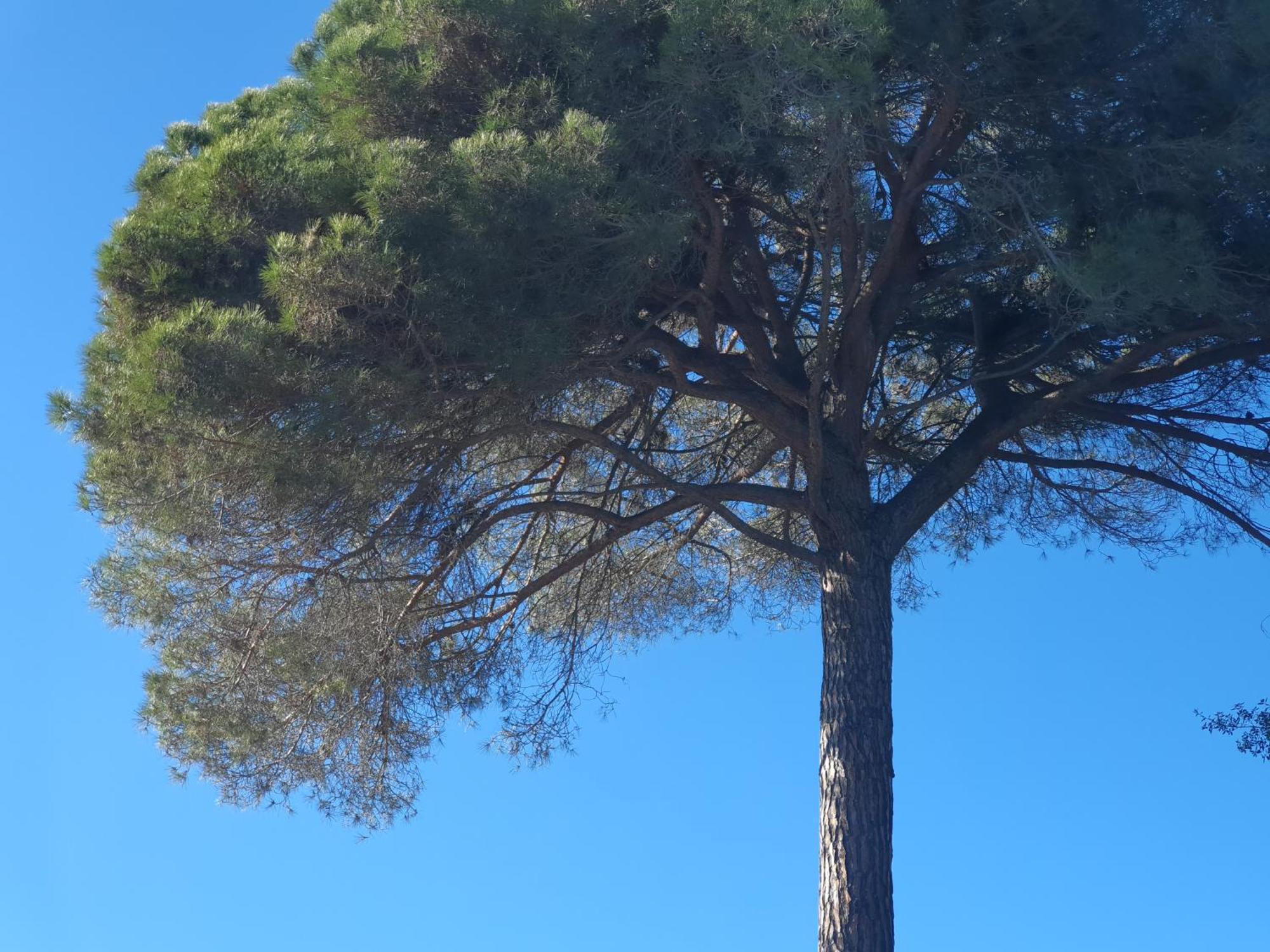 Spa Ibiza Dosrius Canyamás المظهر الخارجي الصورة